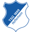 Huy hiệu 1899 Hoffenheim