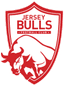 Huy hiệu Jersey Bulls