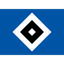 Huy hiệu Hamburger SV