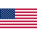 Huy hiệu USA