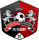 Huy hiệu Fleury 91