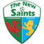 Huy hiệu The New Saints