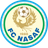 Huy hiệu Nasaf