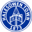 Huy hiệu Halesowen Town