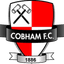 Huy hiệu Cobham