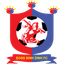 Huy hiệu Binh Dinh